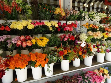 are bodega flowers cheap